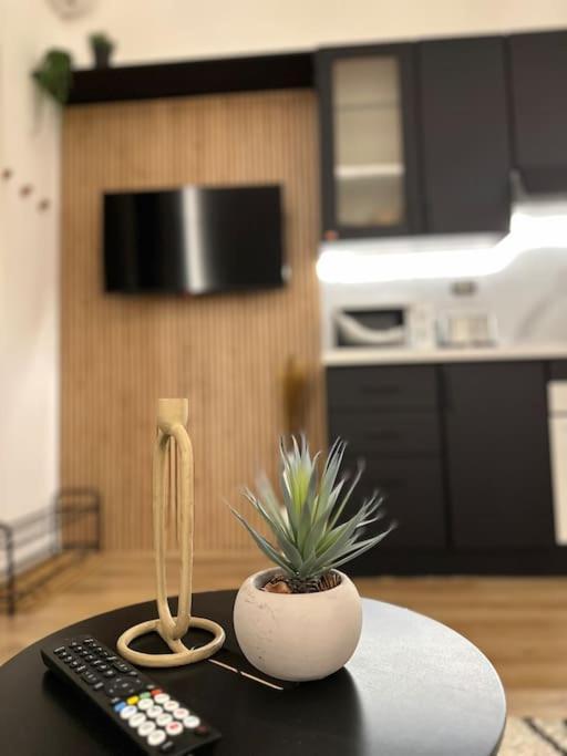 La Casa Di Marlu - Gorgeous Flat In Catania Centre Apartment Exterior photo